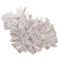 Nemo White Lg Coral
