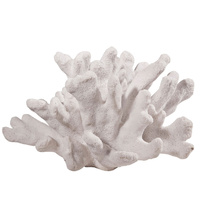 Nemo White Med Coral