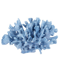 Nemo blue Coral