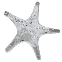 Nemo Glass Starfish