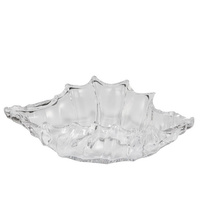Nemo Glass Shell