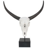 Arizona Skull