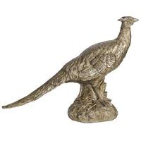Gold Bird Standing