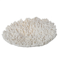 Flat Coral White