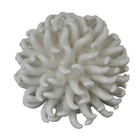 Coral Spikey Decorator