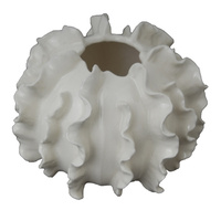 Coral Decorator