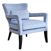 Blake Occasional Chair - Dove Grey Velvet