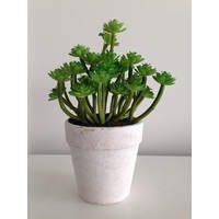 Durie Artificial Succulent Plant in pot
