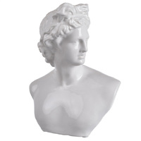 Troy Bust Statue 