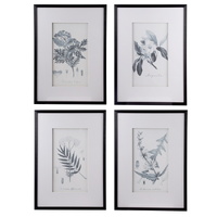 Set of 4 Flora & Fauna Framed Prints