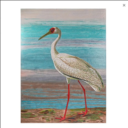 Crane Series II Enhanced Canvas Print