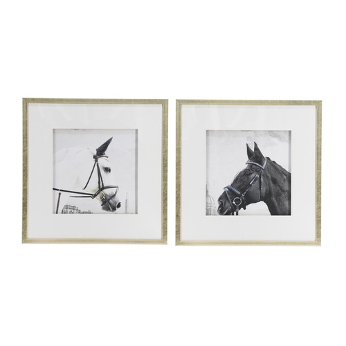 Set of 2 Horse Framed Prints. "The Horses" Prints.
