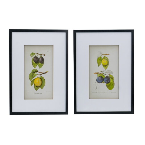 Botanical Wall Décor set of 2